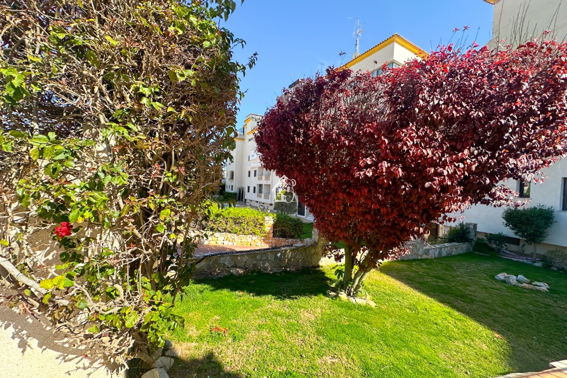 Lange Termijn Verhuur - Appartement / flat - Alicante - Campoamor