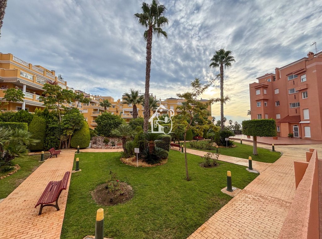 Lange Termijn Verhuur - Appartement / flat - Dehesa de Campoamor