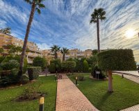 Lange Termijn Verhuur - Appartement / flat - Dehesa de Campoamor