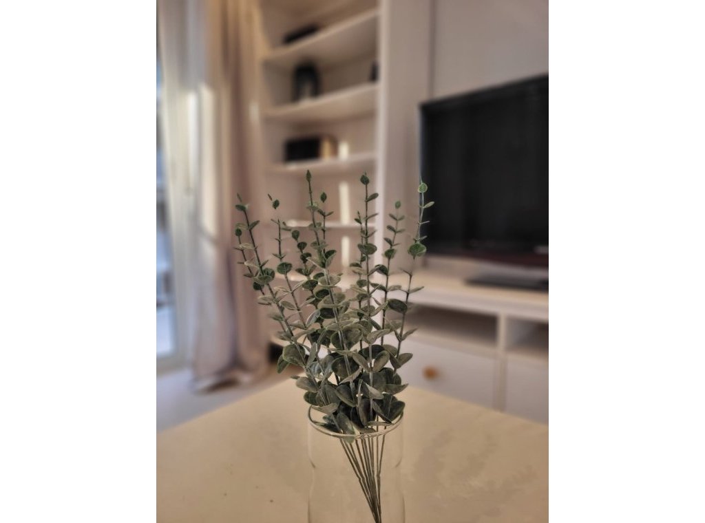 Lange Termijn Verhuur - Appartement / flat - Guardamar del Segura - Guardamar Playa