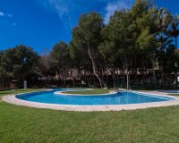 Lange Termijn Verhuur - Appartement / flat - Orihuela Costa - Dehesa de campoamor
