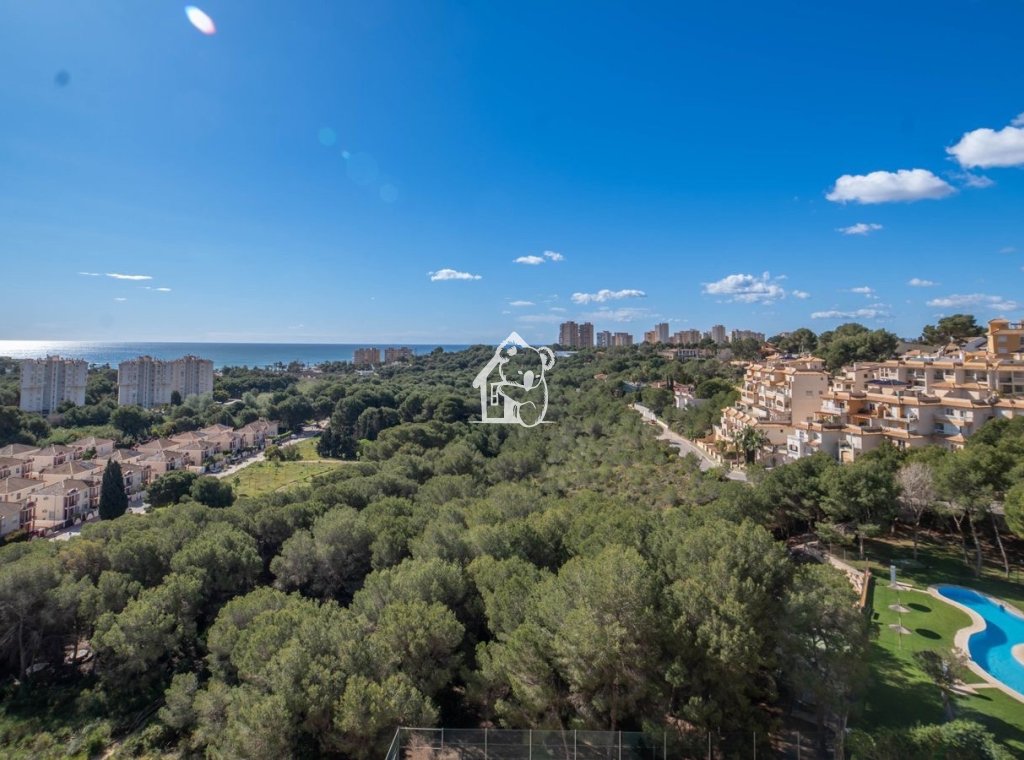 Lange Termijn Verhuur - Appartement / flat - Orihuela Costa - Dehesa de campoamor