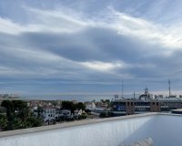 Lange Termijn Verhuur - Appartement / flat - Orihuela Costa - Playa Flamenca