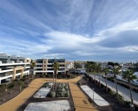 Lange Termijn Verhuur - Appartement / flat - Orihuela Costa - Playa Flamenca