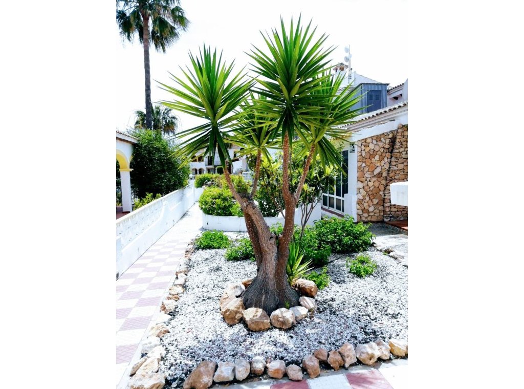 Lange Termijn Verhuur - Appartement / flat - Torrevieja - Nueva Torrevieja - Aguas Nuevas