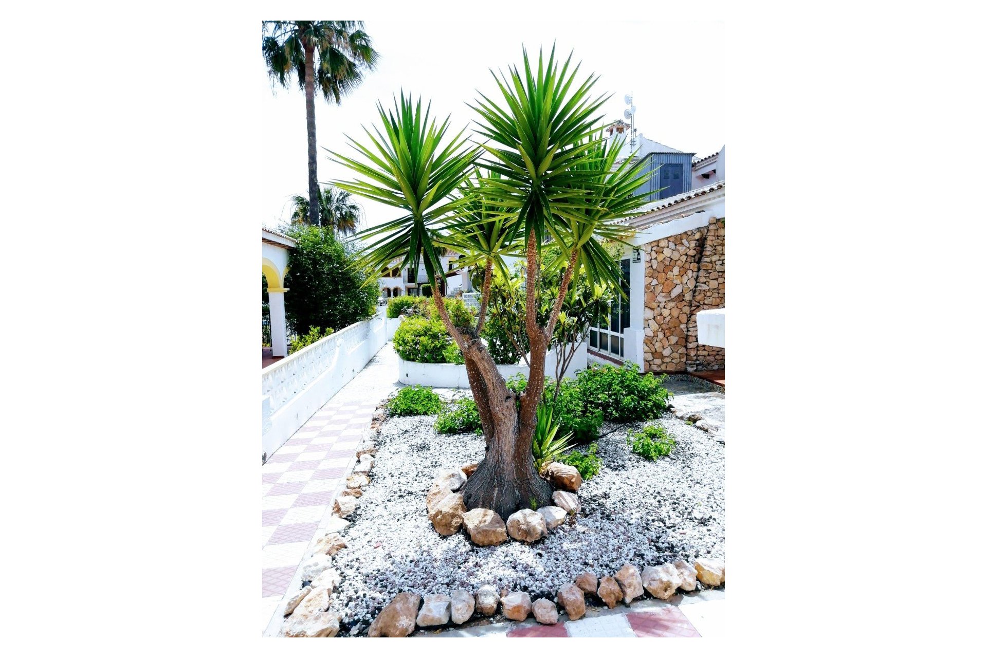 Lange Termijn Verhuur - Appartement / flat - Torrevieja - Nueva Torrevieja - Aguas Nuevas