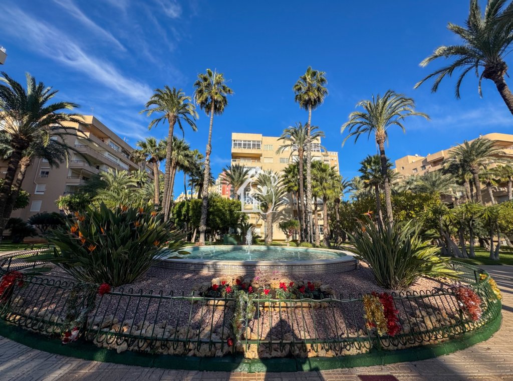 Lange Termijn Verhuur - Appartement / flat - Torrevieja - Playa de los Locos