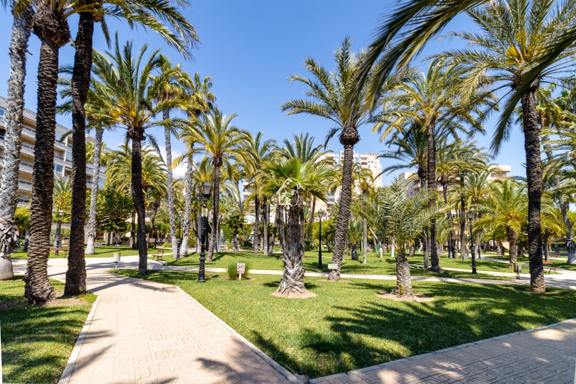 Lange Termijn Verhuur - Appartement / flat - Torrevieja - Playa de los Locos