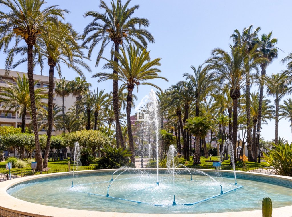 Lange Termijn Verhuur - Appartement / flat - Torrevieja - Playa de los Locos