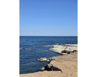 Lange Termijn Verhuur - Appartement / flat - Torrevieja - Torrelamata - La Mata