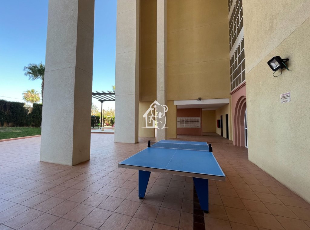 Lange Termijn Verhuur - Appartement / flat - Torrevieja - Torrevieja Centro