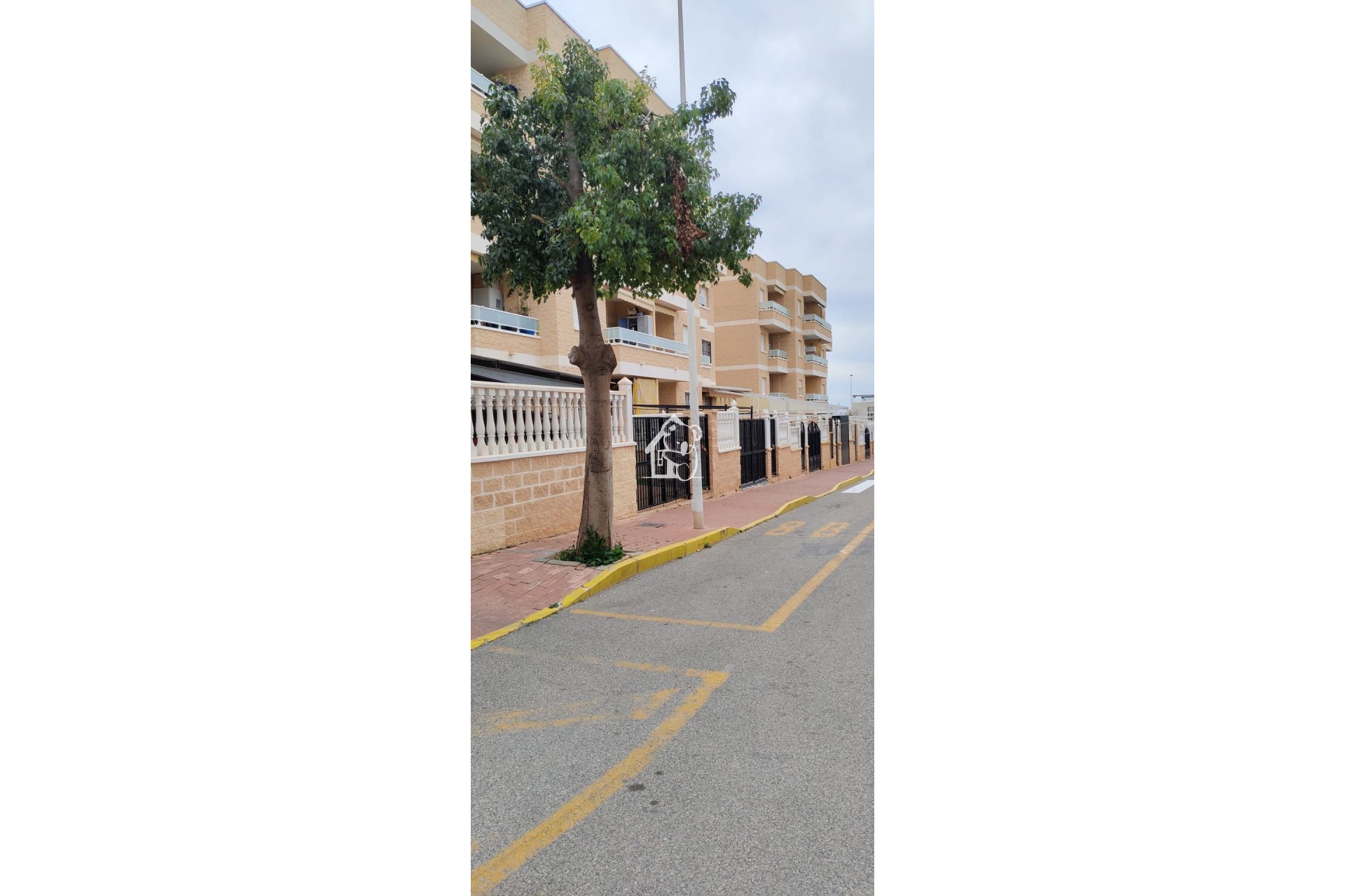 Lange Termijn Verhuur - Appartement / flat - Torrevieja - Torrevieja Centro