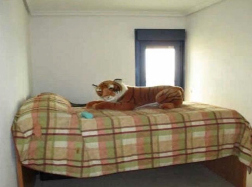 Lange Termijn Verhuur - Appartement / flat - Torrevieja