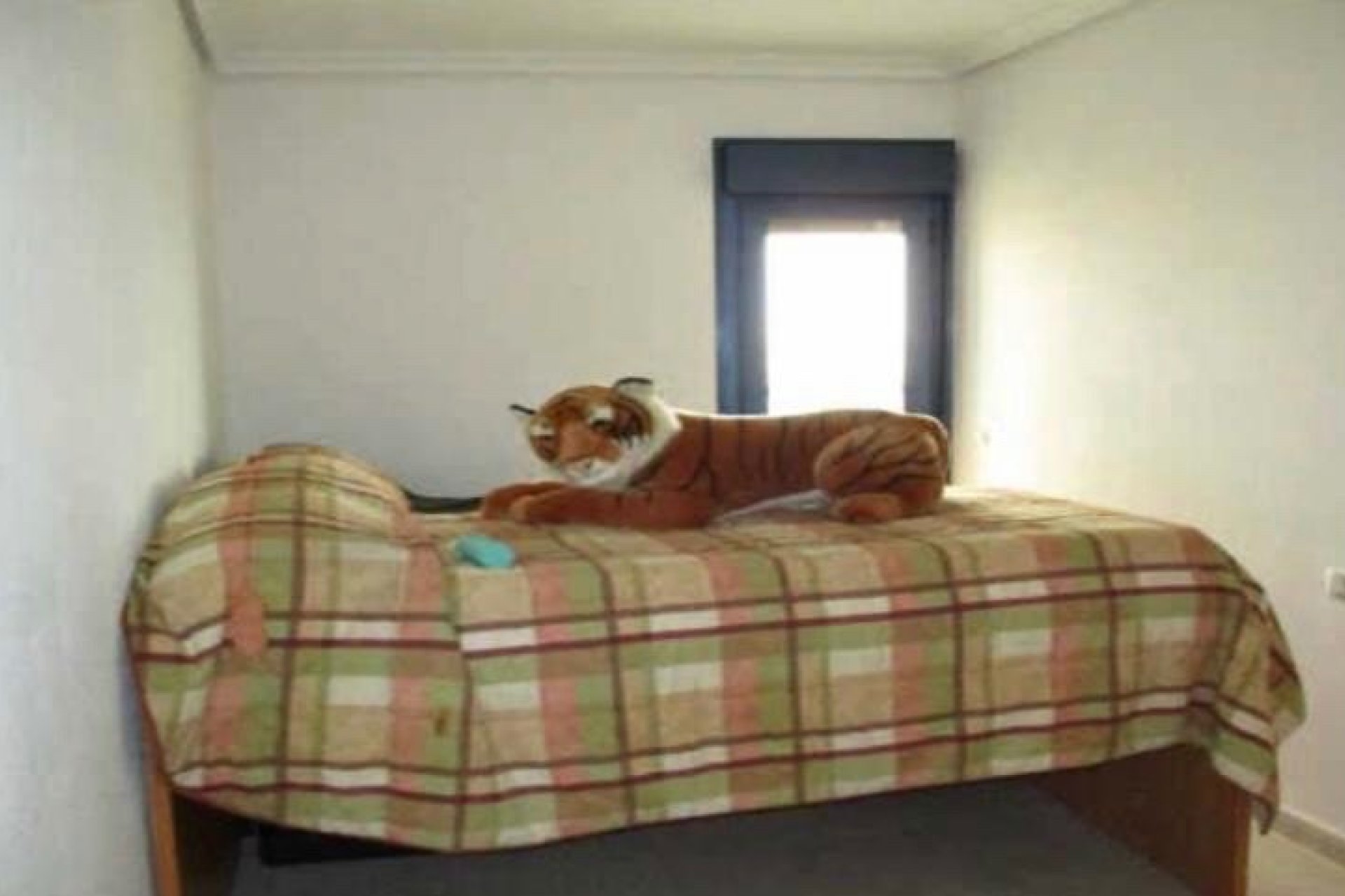 Lange Termijn Verhuur - Appartement / flat - Torrevieja