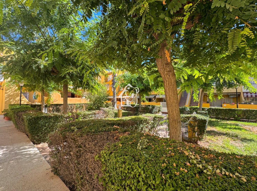 Lange Termijn Verhuur - Appartement / flat - Torrevieja