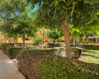 Lange Termijn Verhuur - Appartement / flat - Torrevieja