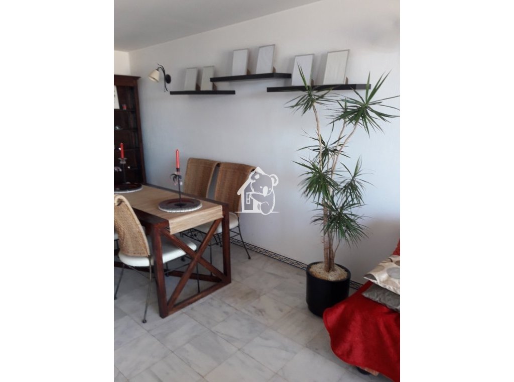 Lange Termijn Verhuur - Penthouse - Torrevieja - Playa de los Locos