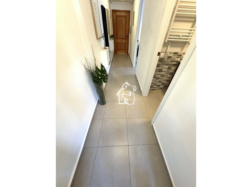 Lange Termijn Verhuur - Penthouse - Torrevieja - Playa de los Locos