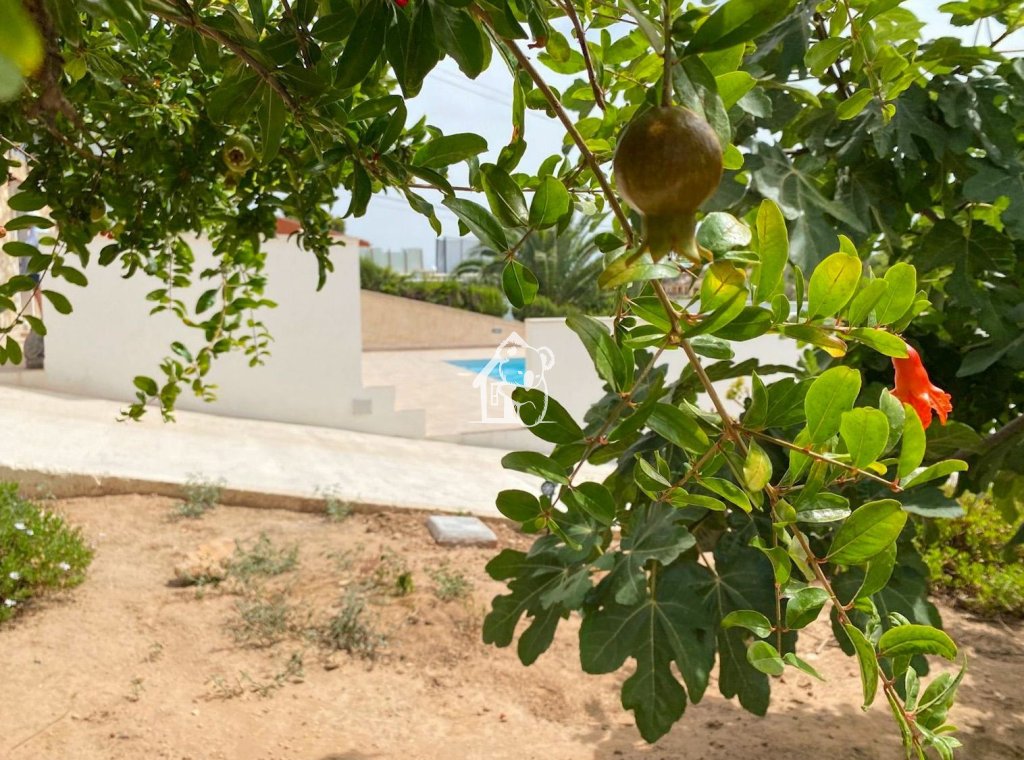 Lange Termijn Verhuur - Villa - Torrevieja