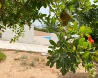 Lange Termijn Verhuur - Villa - Torrevieja