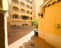 Location - Appartement - Algorfa