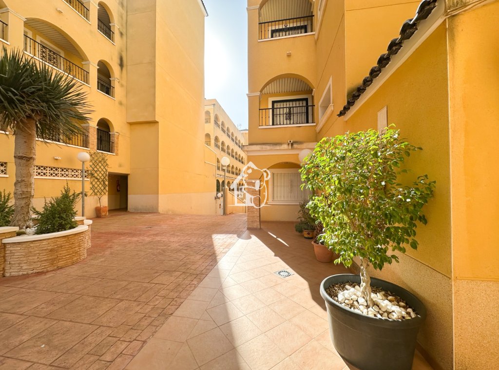 Location - Appartement - Algorfa