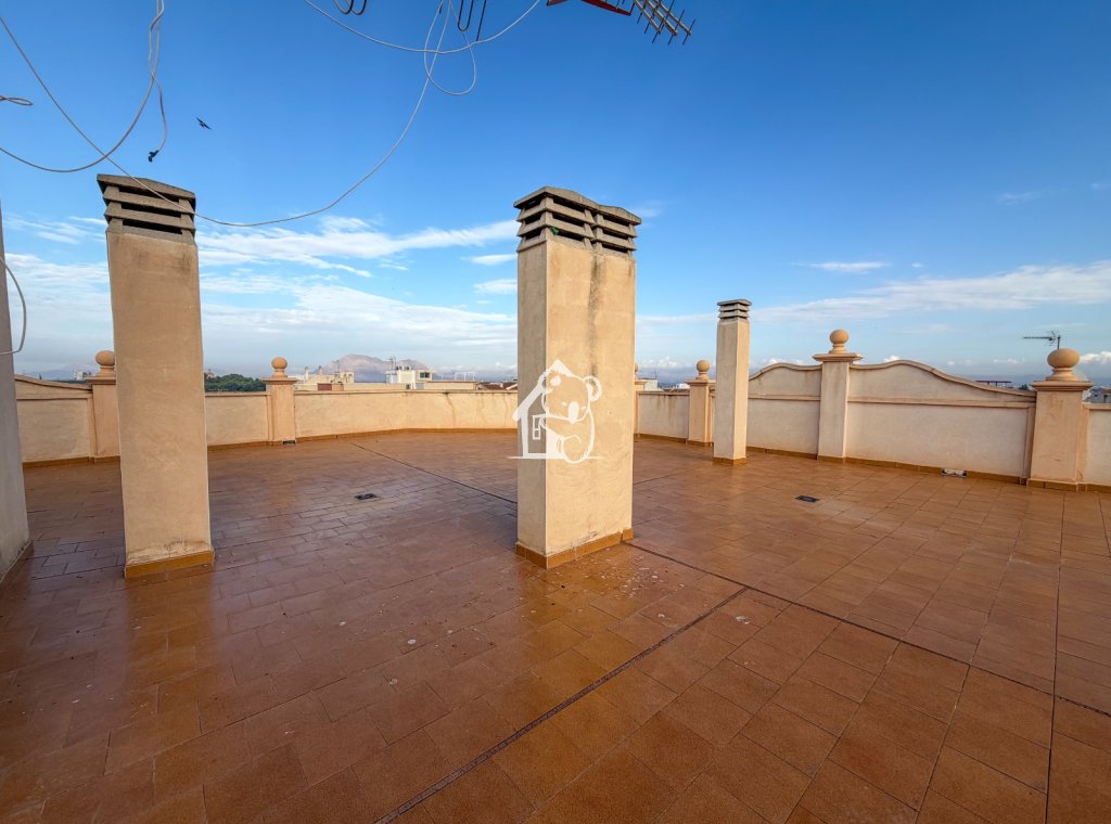 Location - Appartement - Algorfa