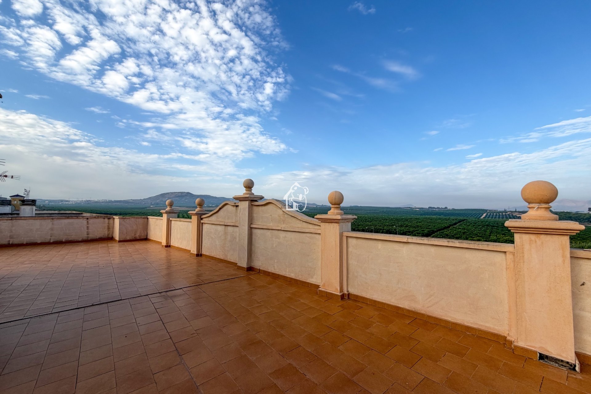 Location - Appartement - Algorfa