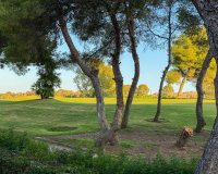 Location - Appartement - Alicante - Campoamor