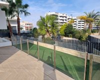 Location - Appartement - Arenales del Sol
