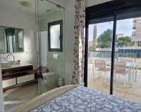 Location - Appartement - Arenales del Sol