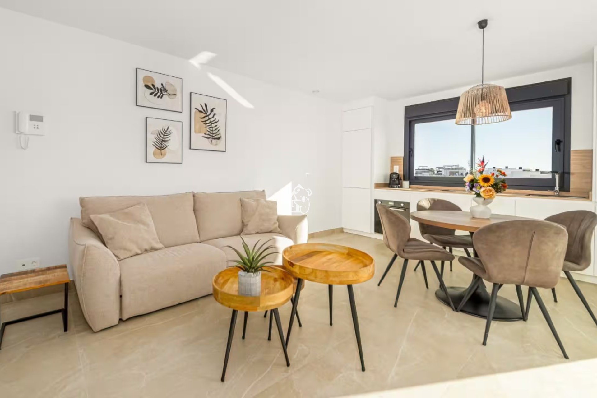Location - Appartement - Benijofar