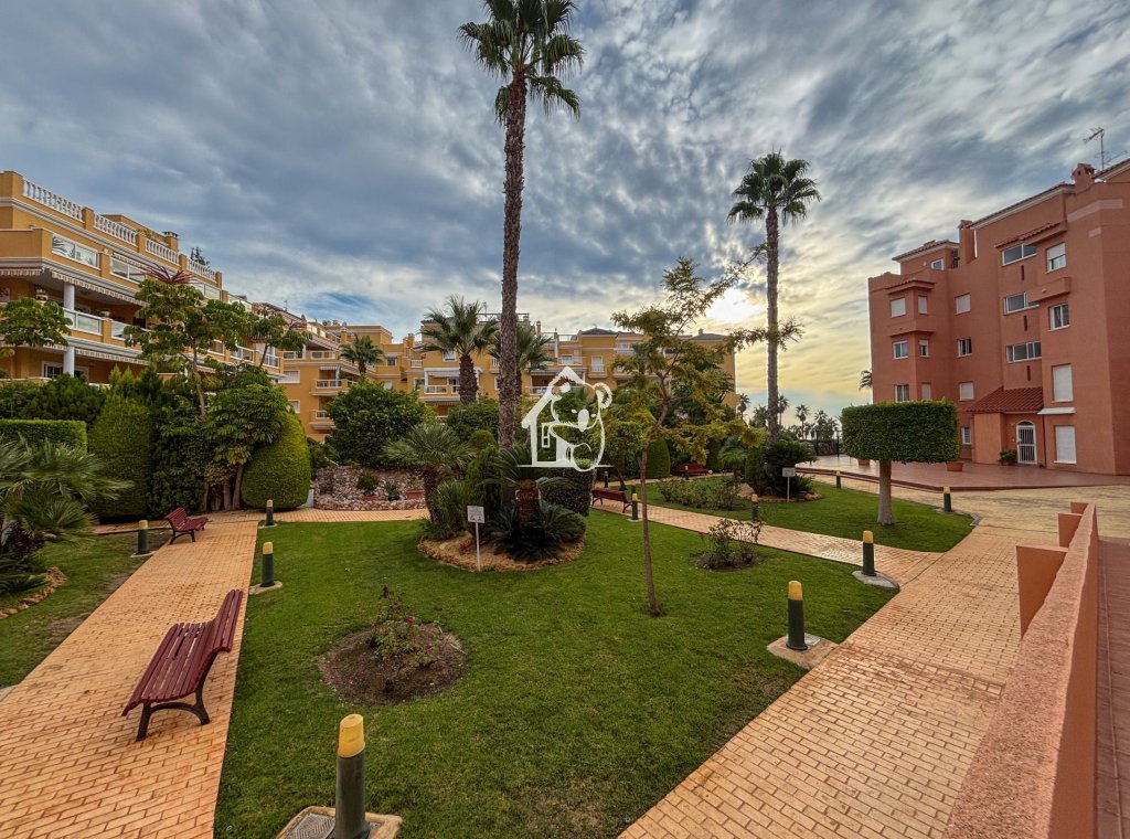 Location - Appartement - Dehesa de Campoamor