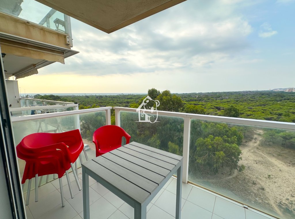 Location - Appartement - Guardamar del Segura