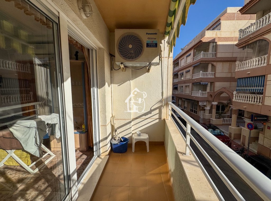 Location - Appartement - La Mata