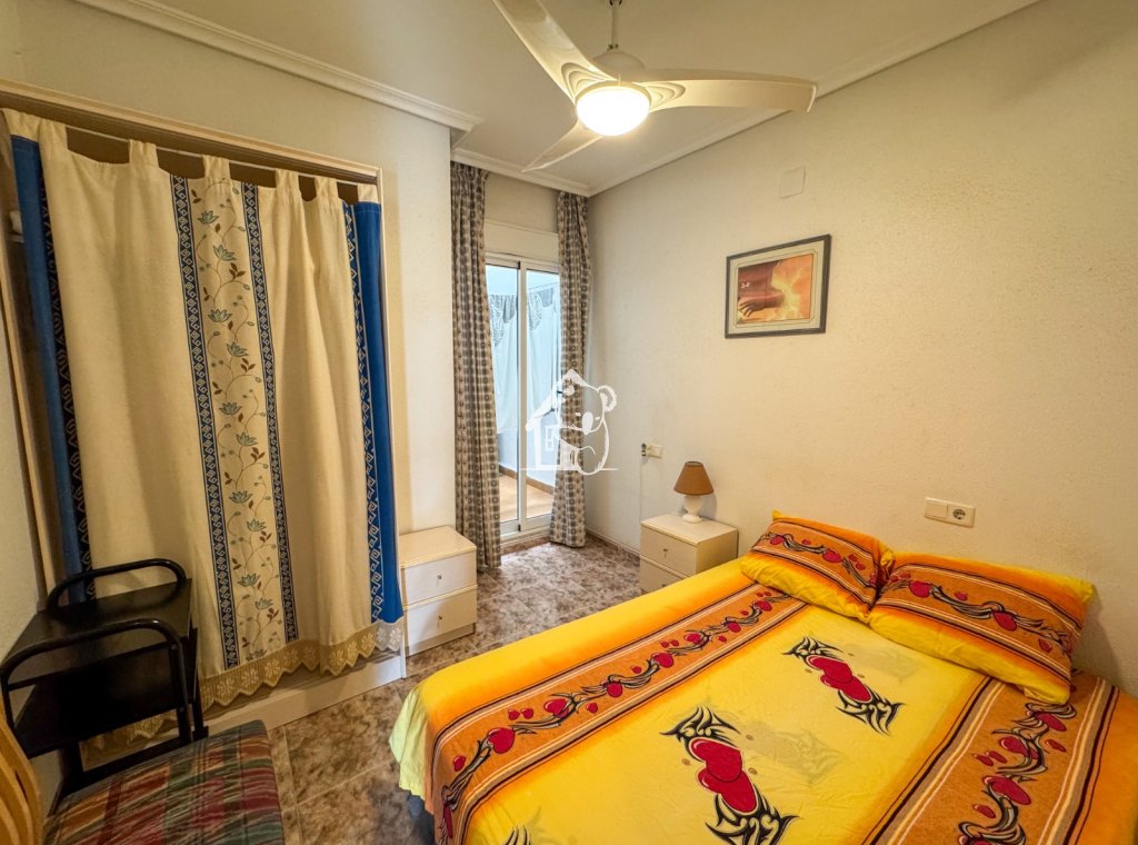 Location - Appartement - La Mata