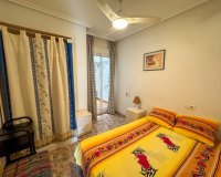 Location - Appartement - La Mata