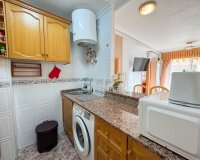 Location - Appartement - La Mata