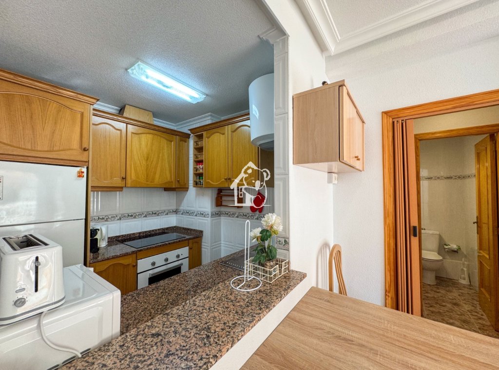 Location - Appartement - La Mata