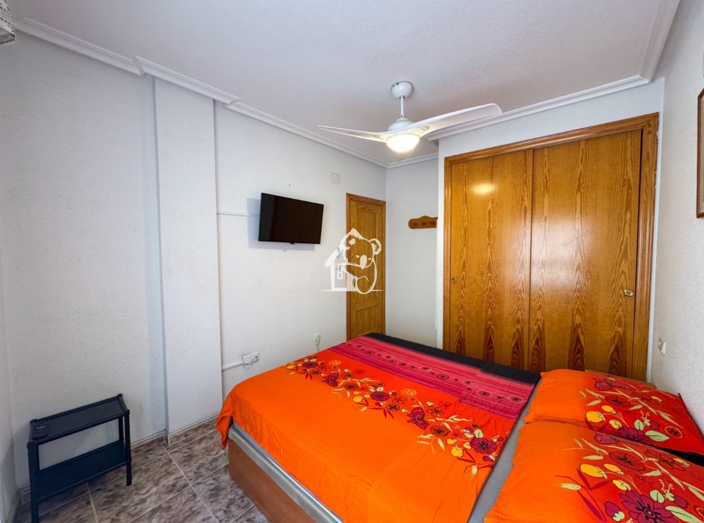 Location - Appartement - La Mata