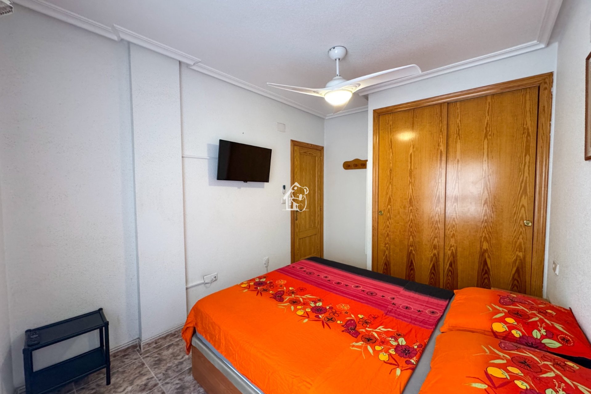 Location - Appartement - La Mata