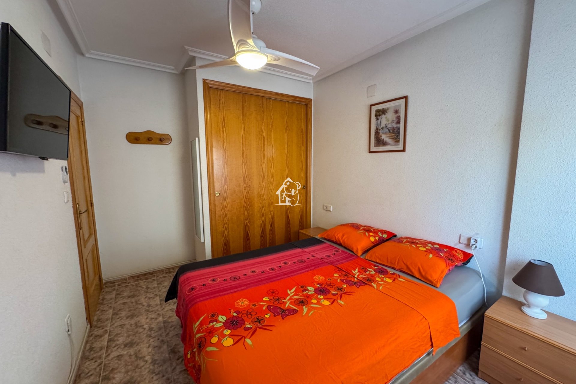 Location - Appartement - La Mata