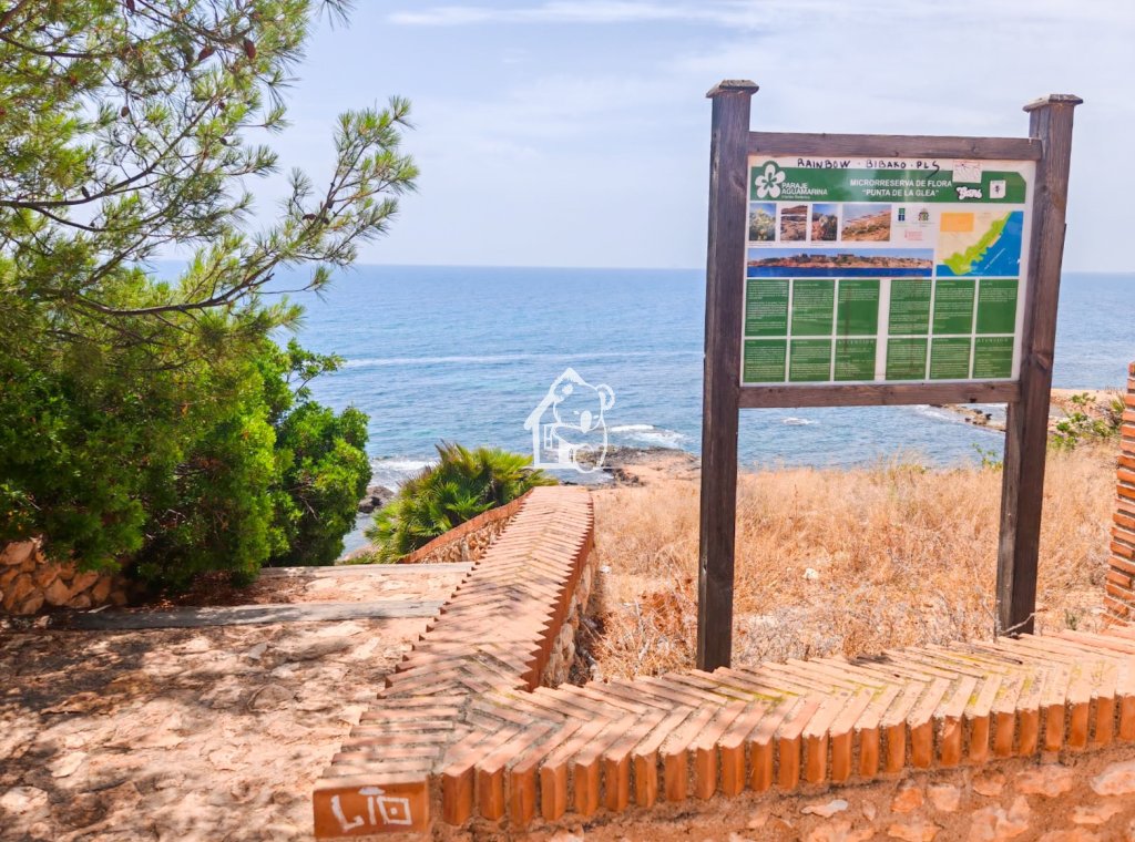 Location - Appartement - Orihuela Costa - Aguamarina