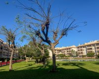 Location - Appartement - Orihuela Costa - Cabo roig - La Zenia