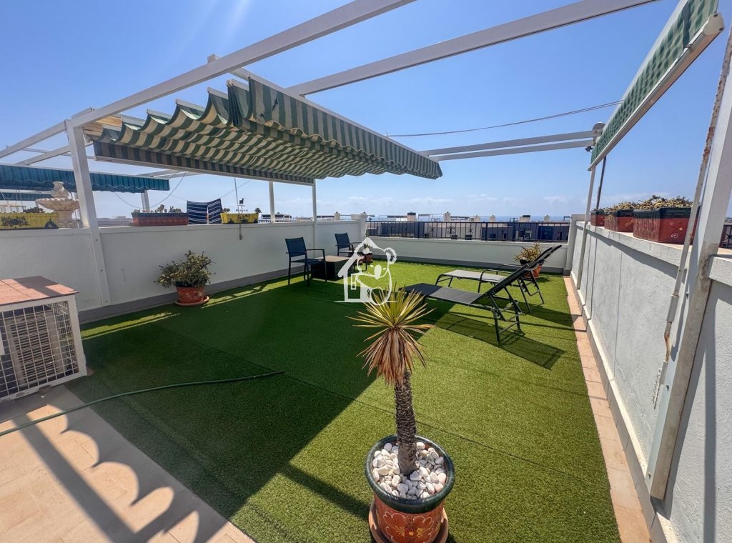 Location - Appartement - Orihuela Costa - La Florida