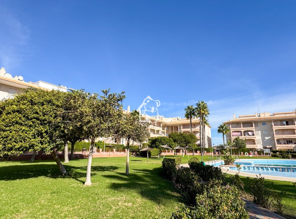 Location - Appartement - Orihuela Costa - Playa Flamenca