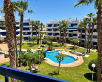 Location - Appartement - Orihuela Costa - Playa Flamenca