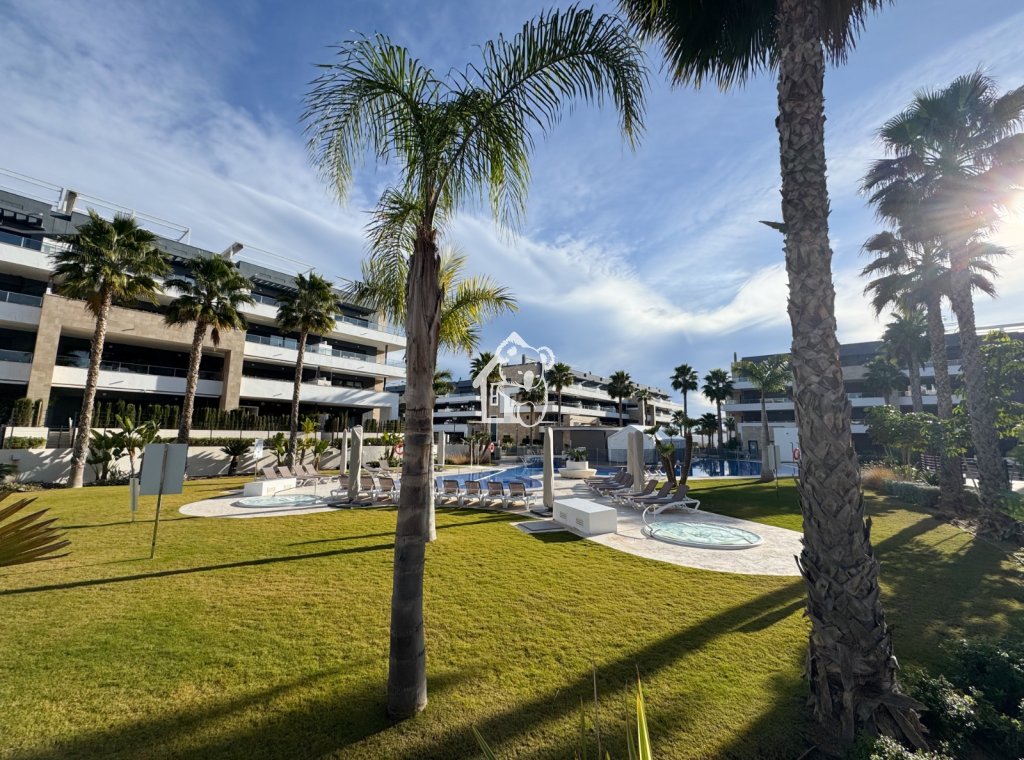 Location - Appartement - Orihuela Costa - Playa Flamenca