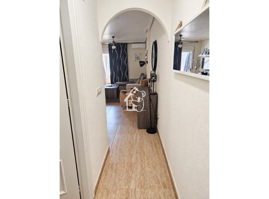 Location - Appartement - Orihuela Costa - Playa Flamenca