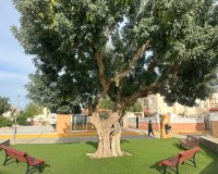 Location - Appartement - Orihuela Costa - Playa Flamenca